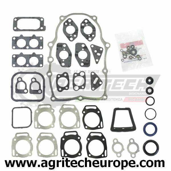 Rigenera il tuo Motore: Kit Guarnizioni 808390 807640 Briggs & Stratton