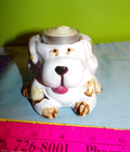 Foto 2 di 6