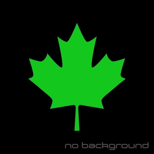 Maple Leaf Sticker Vinyl Decal - Canada Tree Fall Car Window Bumper Laptop Decor - Picture 12 of 17