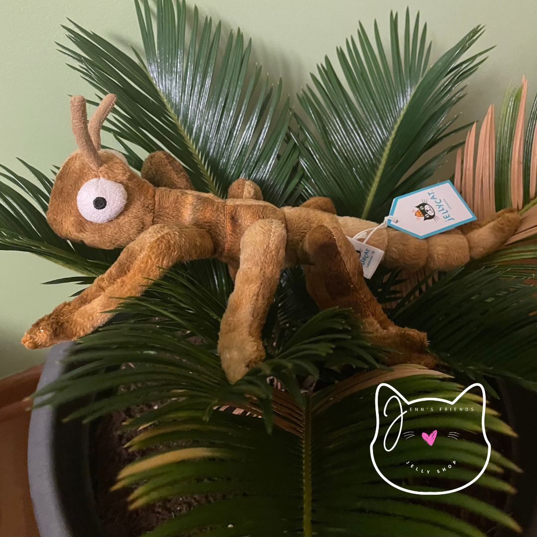 Jellycat STANLEY STICK Insect Bug New BNWT RETIRED Soft Plush Toy