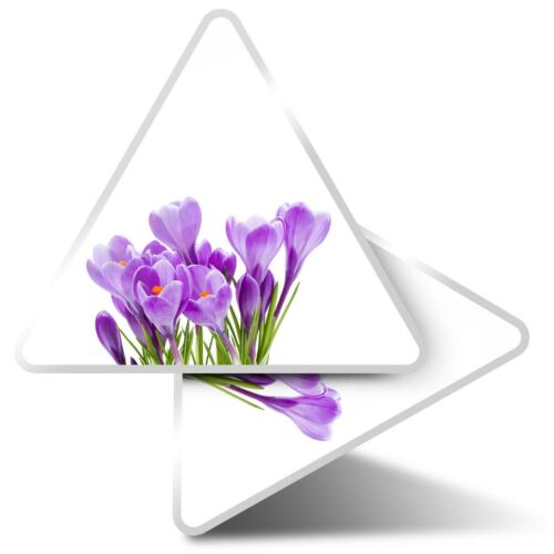 2 x autocollants triangle 10 cm - fleur de crocus violet des prairies #12654 - Photo 1/9