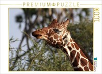 Calvendo Puzzle Giraffes – Head Shaking | 1000 Pieces, Finished Size 25.2 × 18.9