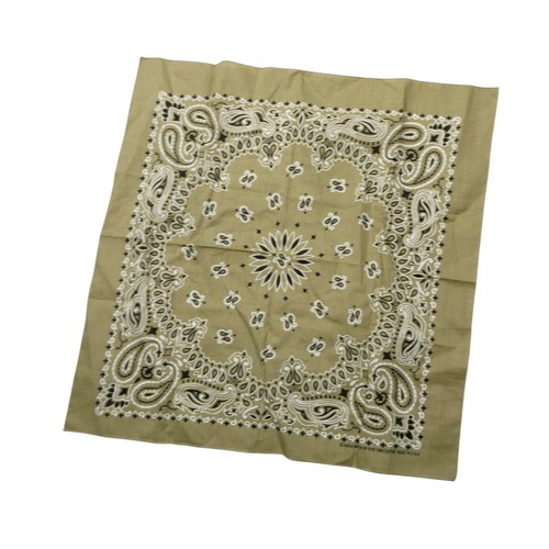 Hav-A-Hank Bandana Handkerchief Mens One Size Beige Paisley Made USA Cotton