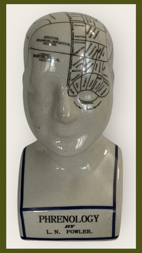 L.N. Fowler Phrenology Büstü - Bilim Tarihinin İkonik Figürü Müzayede APP