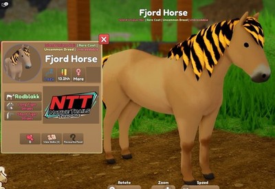 Wild Horse Islands - Rodblakk, Tiger Stripes, Fjord Horse - IUH | eBay