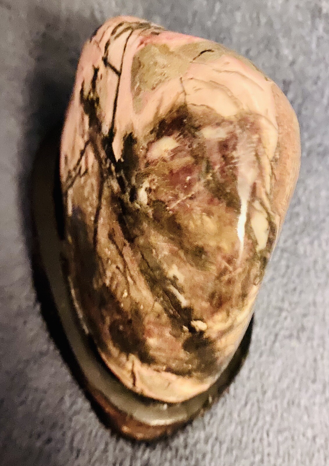 Picture 5 of 19