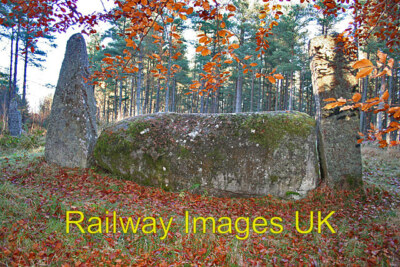 Photo 12x8 (A4) Cothiemuir Wood Recumbent Stone Circle (2) (Pagan Druid Celtic)