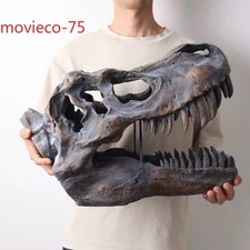 Tyrannosaurus Rex Skull Decor Realistic Dinosaur Fossil Replica Desk Ornament