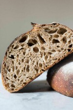 tangy san francisco sourdough starter yeast from the WHARF very old bonanza