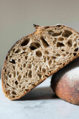 tangy san francisco sourdough starter yeast from the WHARF very old bonanza