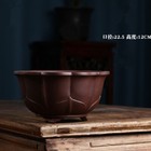 Foto 6 di 19