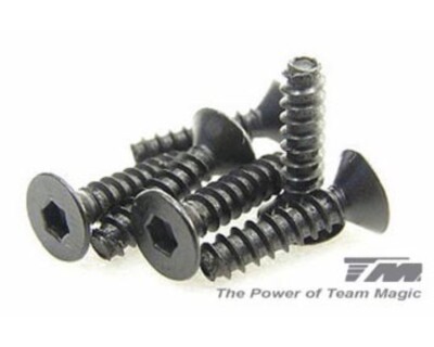 Team Magic Schrauben Senkkopf selbstschneidend Hex Allen 3 x 12mm TM116312 E6 ..
