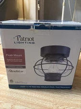 Patriot Lighting Flush Mount Outdoor Lighting 356-3809 Bronze Finish  75W 9” Dis