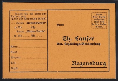 Regensburg, Werbung der Fima Th. Lauser, Besen kehrt Mäuse weg, Ansichtskarte 