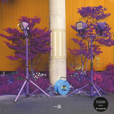 Eiko Ishibashi & Darin Grey - Ichida (Vinyl LP - 2018 - EU - Original)