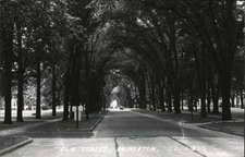 Princeton, Illinois IL Elm Street Original Vintage Real Photo Postcard RPPC