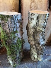 2x Baumstamm Natur Deko Basteln Birke Birkenstamm Deko Stamm Holz