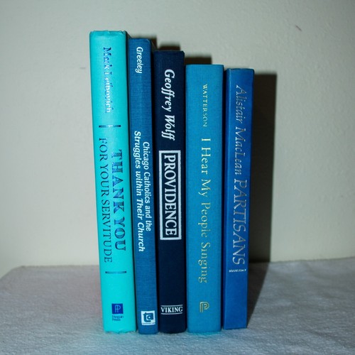 Posten 5 Blautöne Hardcover Bücher Konvolut Set Regal Dekor Inszenierung Display Requisite - Bild 3 von 12