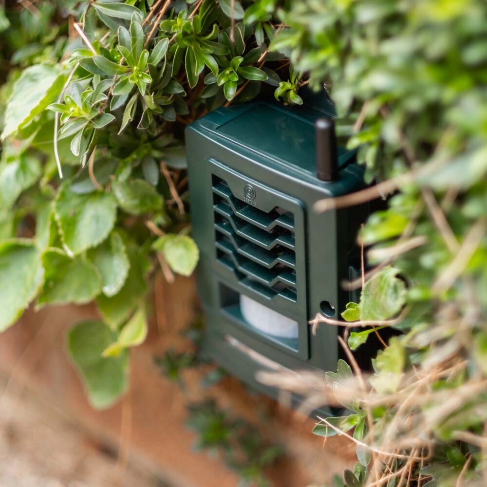 Pestbye Ultrasonic Cat Repeller Fox Pest Deterrent Battery Operated Humane X2 eBay