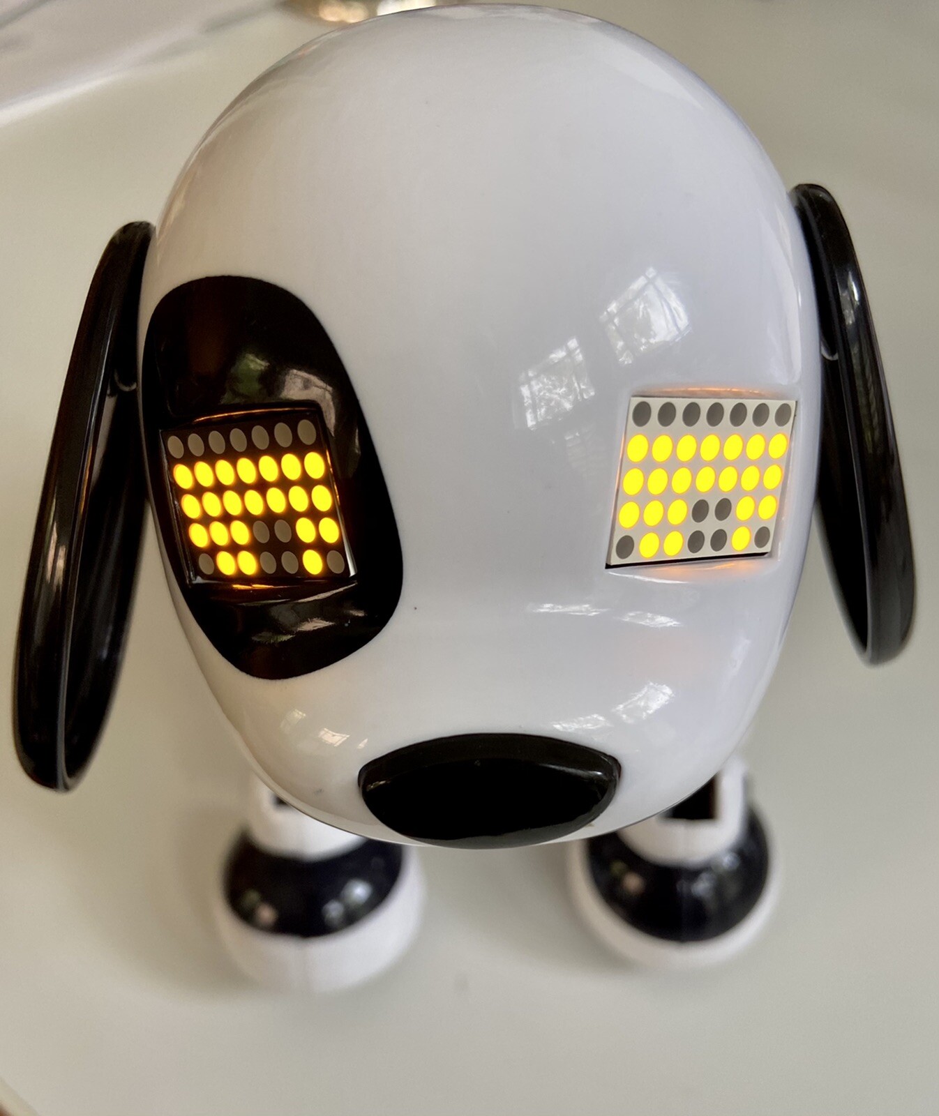 zoomer dalmatian dog