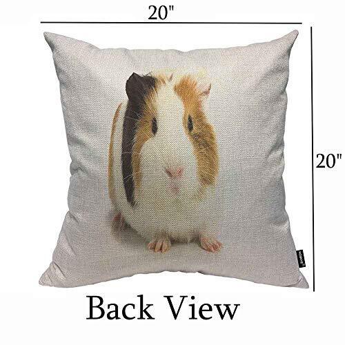Guinea Pig Throw Pillow Cushion Cover Three Color Lovely 20" x 20" Multi02 - Bild 2 von 5