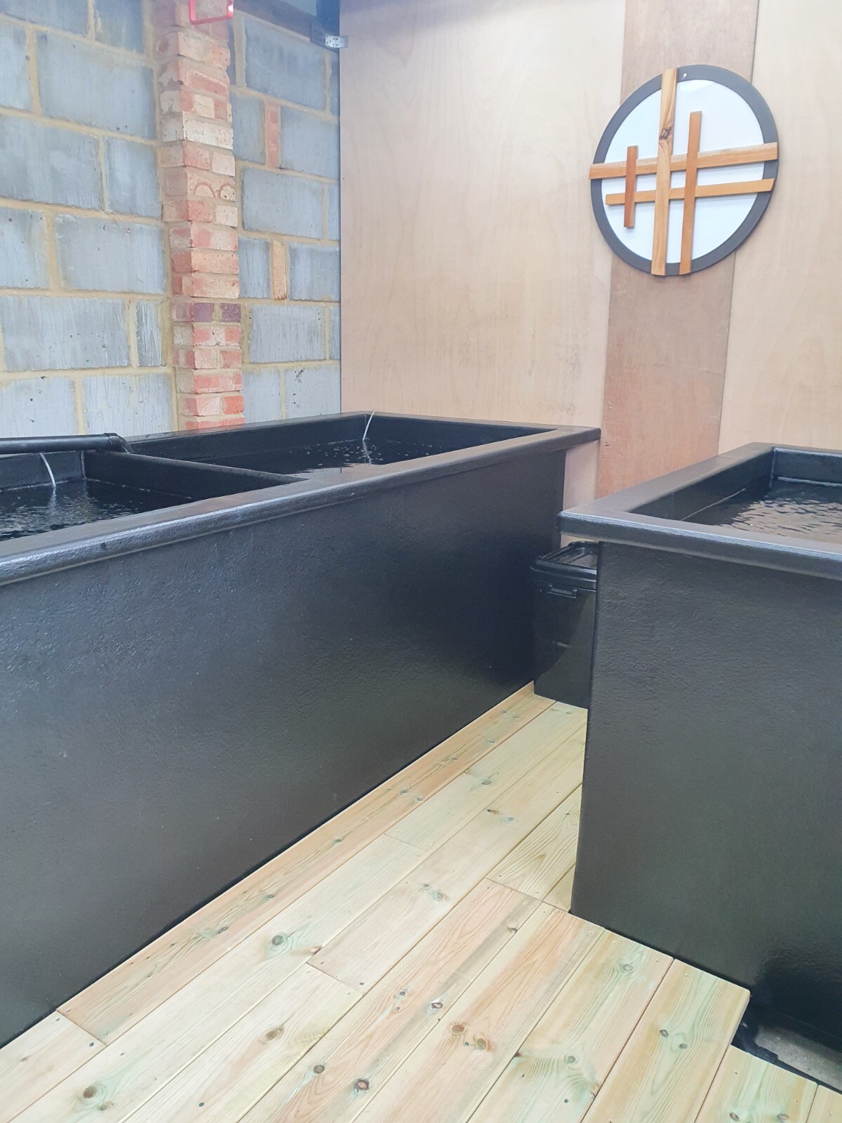 koi pond quarantine/Holding tank eBay