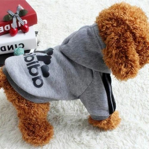Adidog Algodón Cachorro Ropa Perro Con Capucha Suéter Mascota Chaleco Ropa L XL PERRO GRANDE REINO UNIDO - Imagen 5 de 32