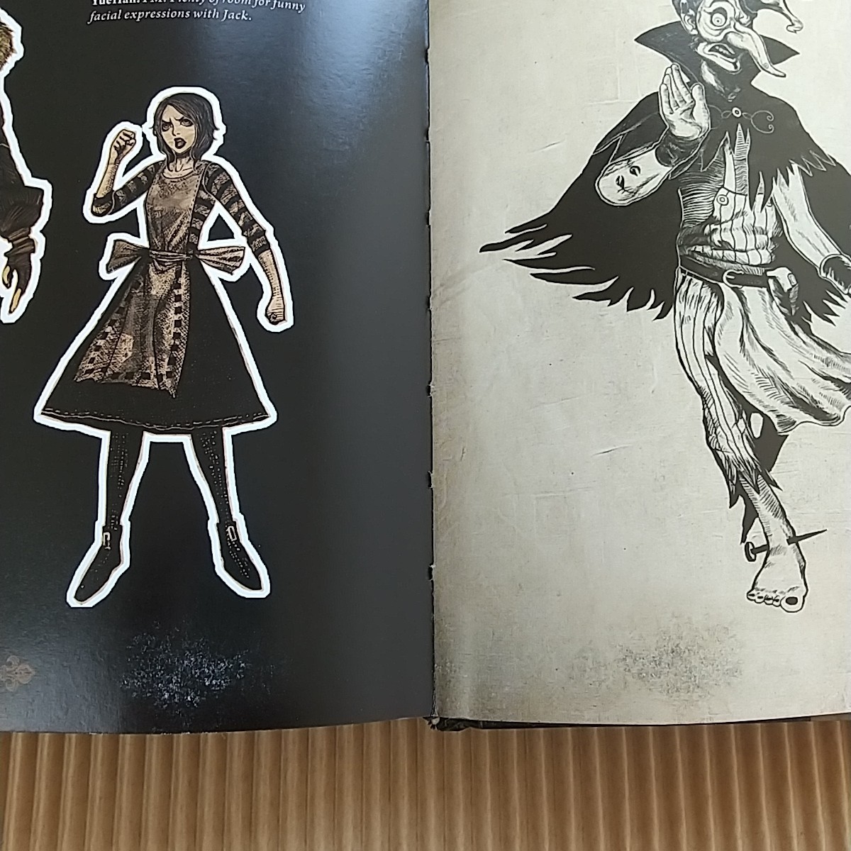 The Art Of Alice Madness Returns Hardcover Book English
