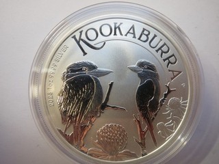 1 stück Kookaburra 2023