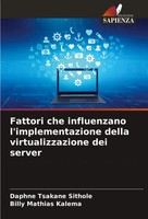 Fattori Che Influenzano L'implementazione Della Virtualizzazione Dei Server Buch