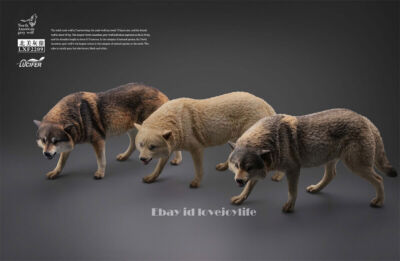 JXK1/6 North American Gray Wolf Model LXF2209 12