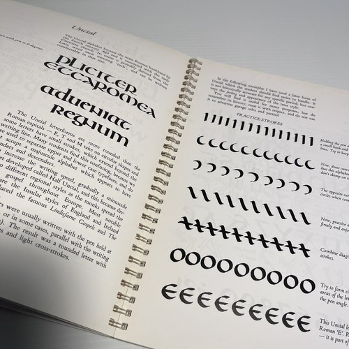 Calligraphy: A Handbook for Beginners Beverley Amos 1999 PB + Students Workbook - Picture 9 of 17