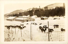 Norwich University, Northfield VT 2 (1944)  RPPC Photo Postcard Copy