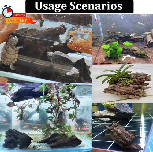 PINVNBY 6 PCS Natural Driftwood for Aquarium Decor 3.9" - 7.8" Large Driftwood f - 第 7/12 張圖片