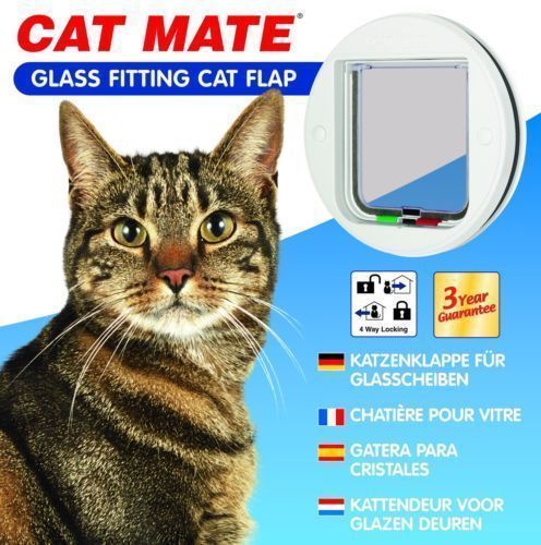 what to do for a constipated dog