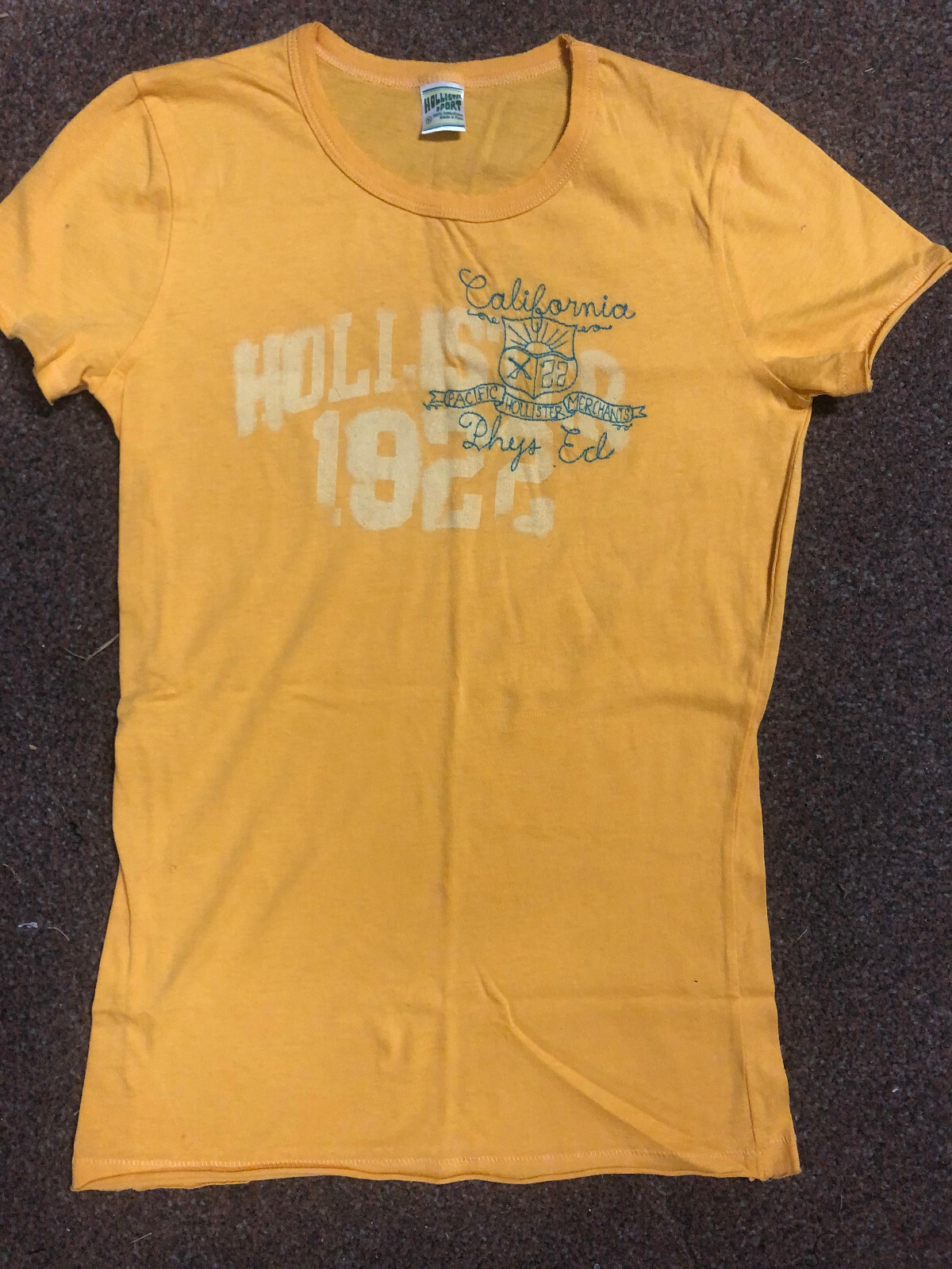 HOLLISTER  S/S LOGO  Shirt Sz. M NWT
