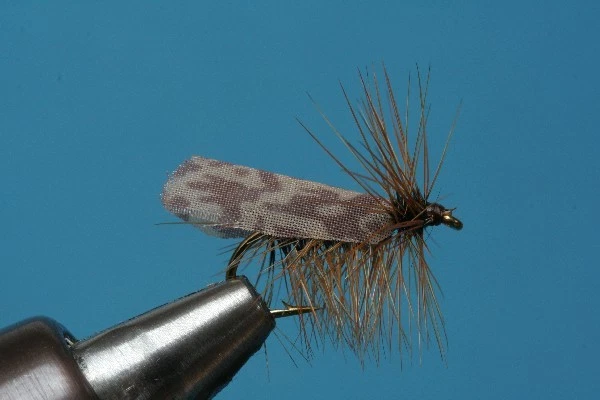 Fliegentom Trockenfliege 3 Stück - Faltflügel Caddis / Sedge - Bild 1 von 1