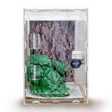 Jumping Spider Enclosure, 12x8x6 inch Large Acrylic Terrarium Reptile Enclosu...