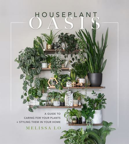 Houseplant Oasis : A Guide to Caring for Your Plants + Styling Them in Your ...