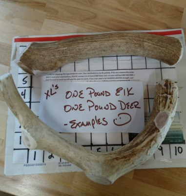 Easy Antler Chew - Large – Green and Wilds - Retail