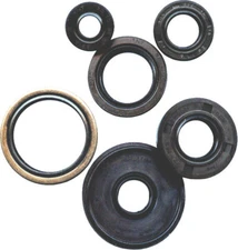 NEW WINDEROSA OIL SEAL SET - 822251