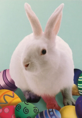 Papyrus- Easter- White Bunny With Colored Eggs- Foil Accents