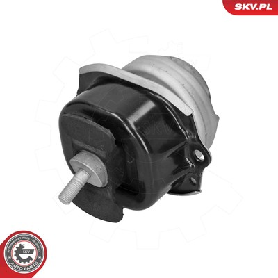 ESEN SKV 75SKV254 Lagerung, Motor für BMW