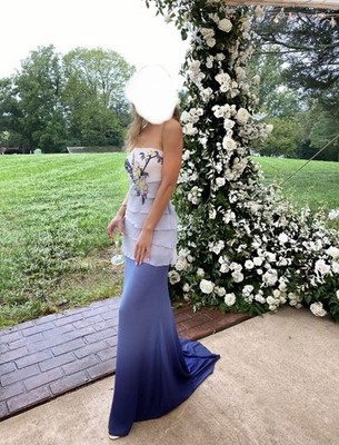Patrizia Pepe Dress Size XS Maxi Sleeveless Floral Embroidery Blue Dress