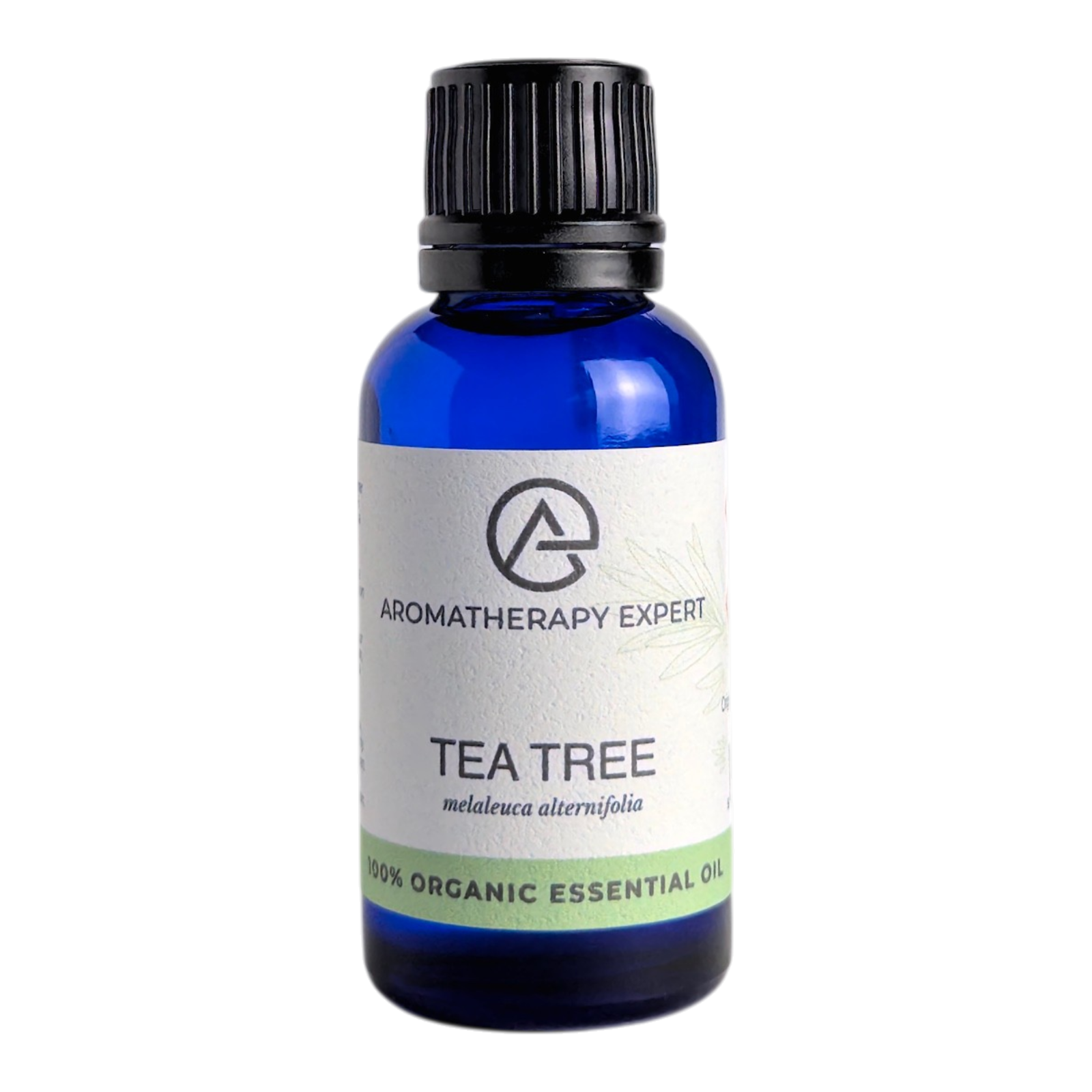 Organic Tea Tree Essential Oil 30ml Supersize Pure Aromatherapy Expert UK