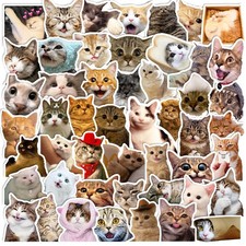 100PCS Funny Cat Stickers for Water Bottles Waterproof Kawaii Multicolor