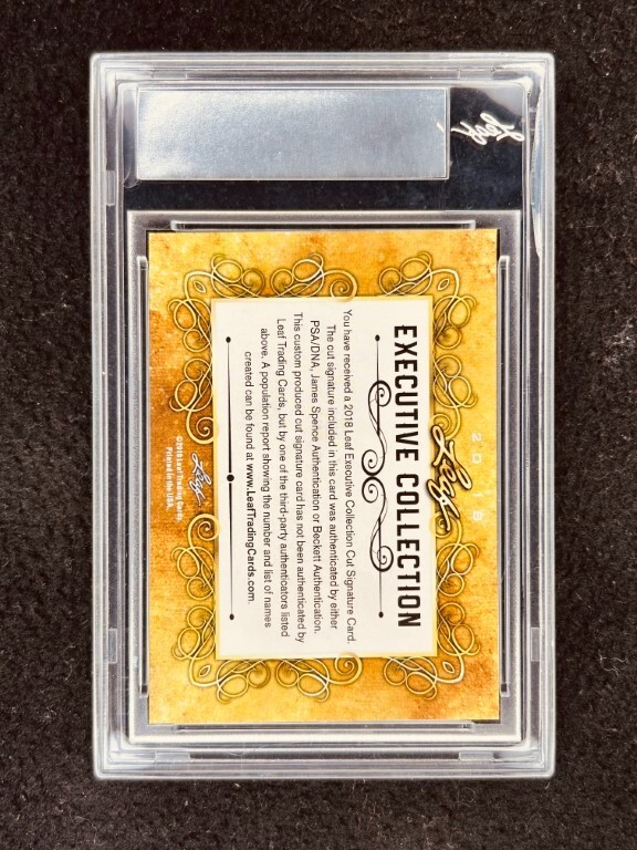 セール中…テッサトンプソン直筆サイン入り超大型写真…Tessa Thompson Tessa Thompson 2018 Leaf Masterpiece Cut Signature signed 1