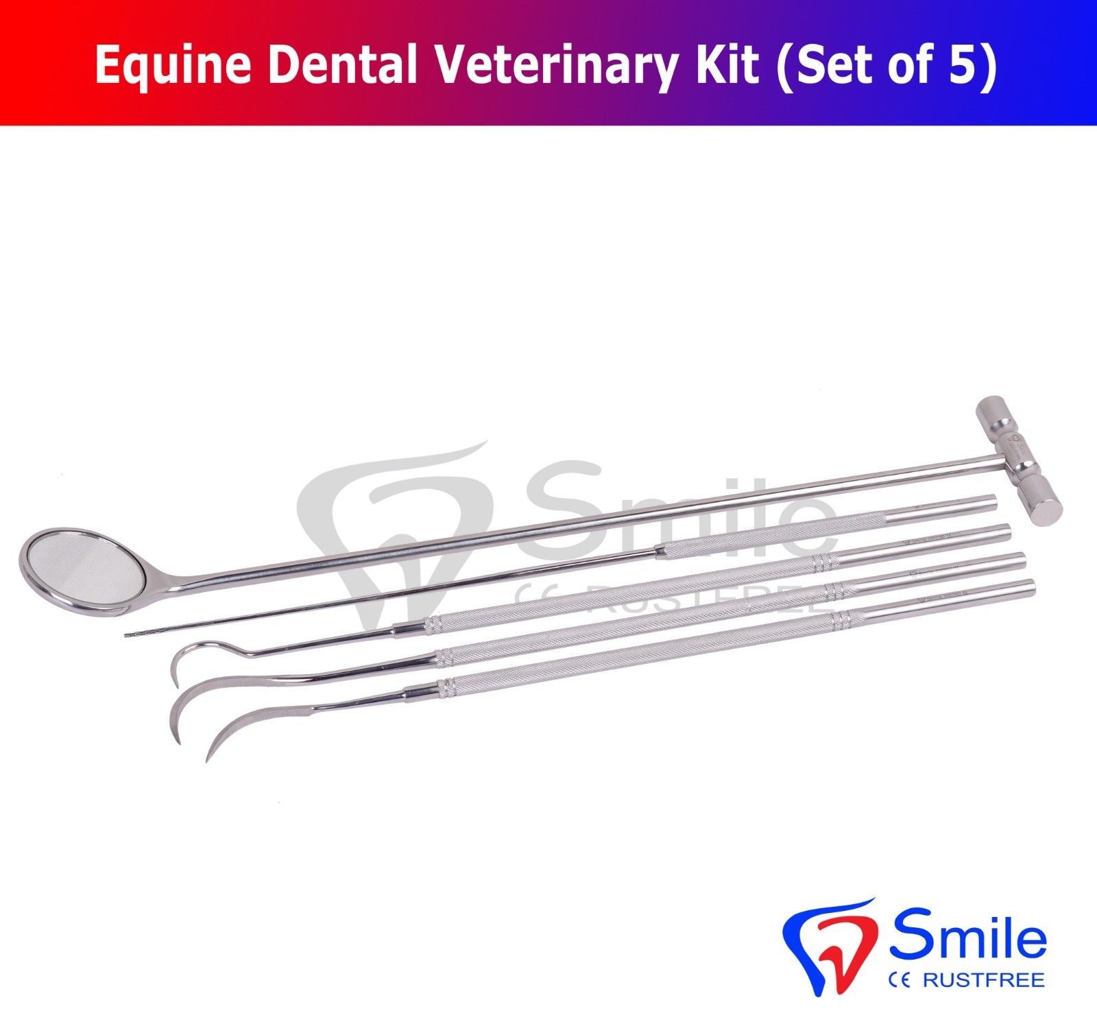 Equine Dental Mirror Scaler Probe Explorer Veterinary Kit Set Smile