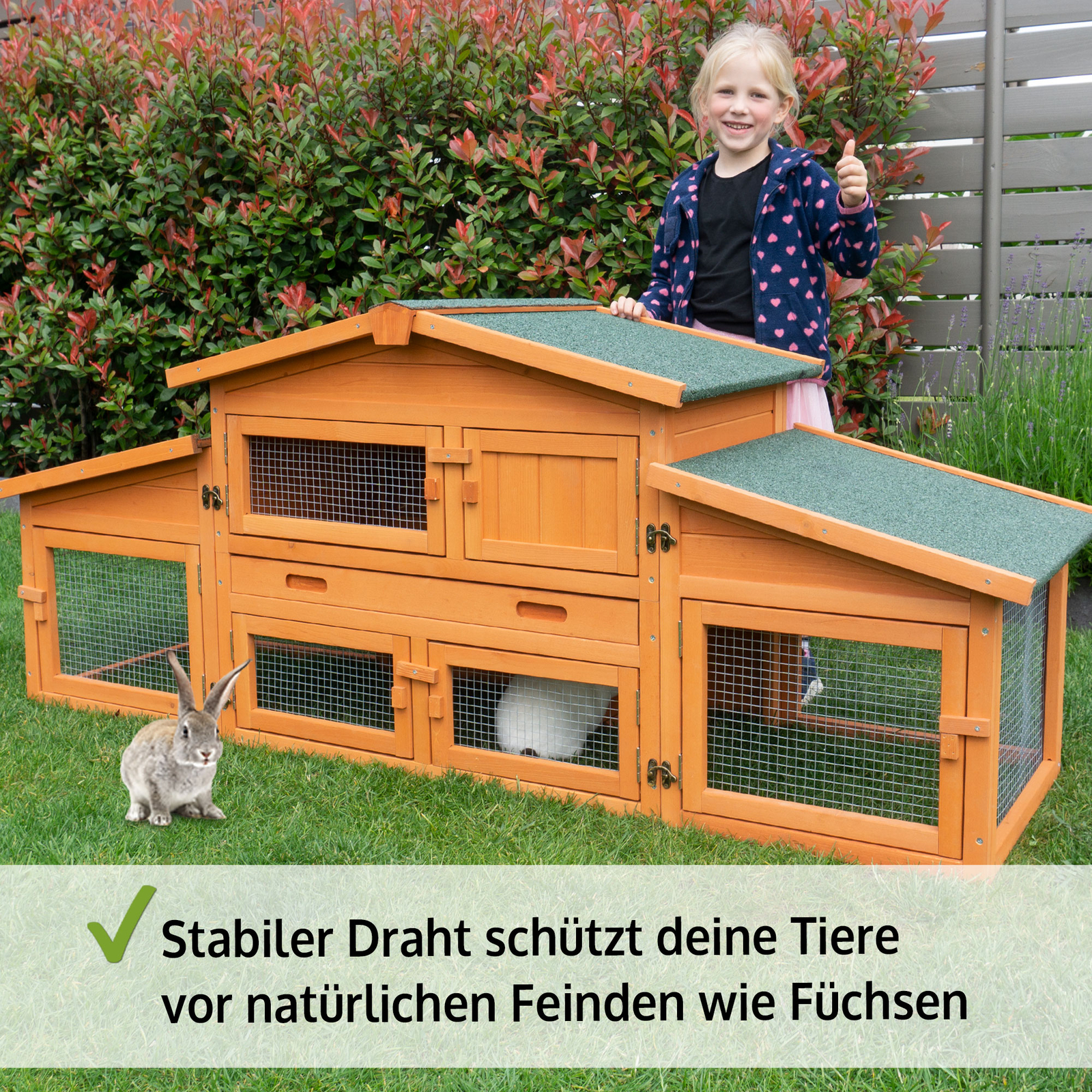 Bild 8 von 12
