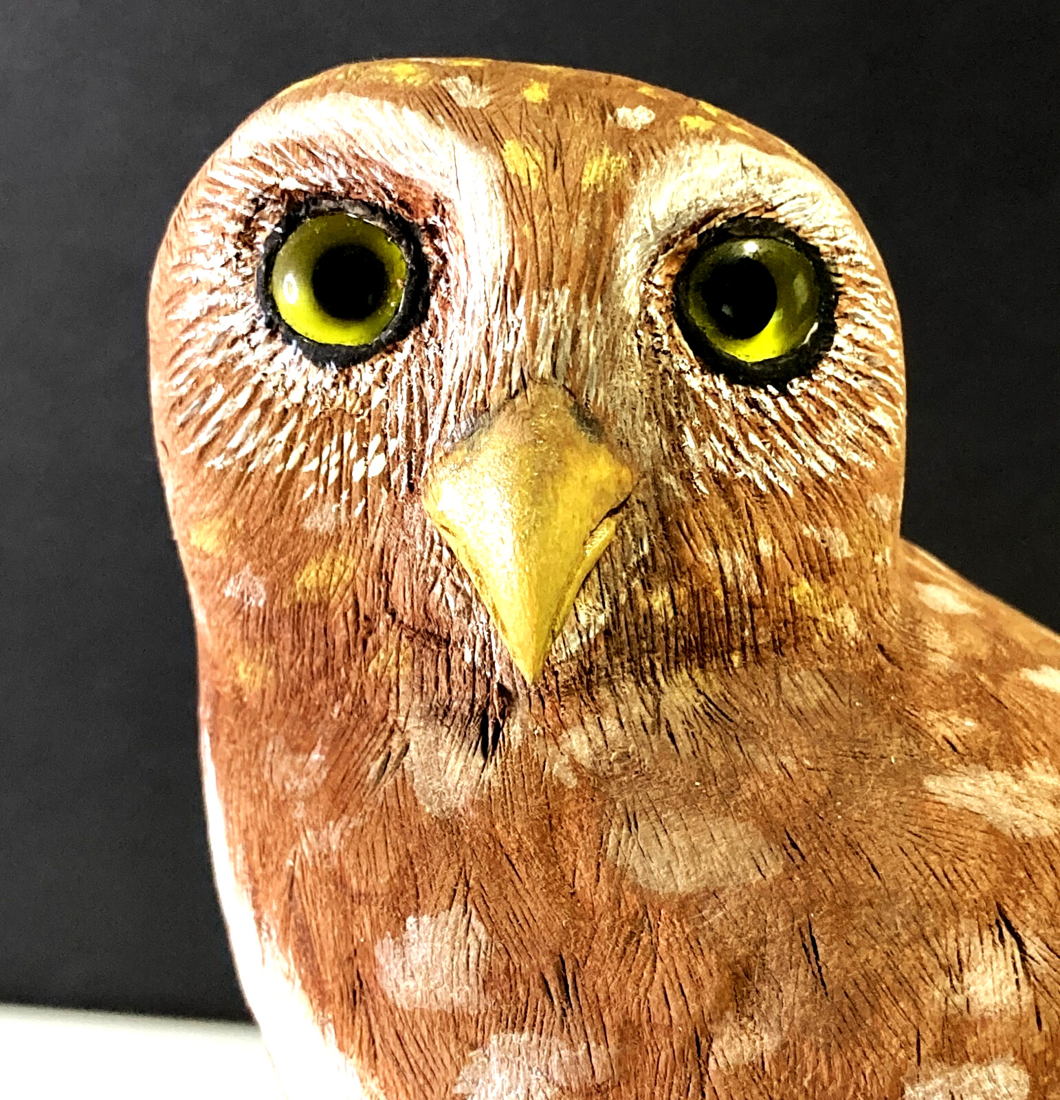 BLIND AWARD-WINNING MASTER CARVER Terry Matzke 7.5" Ferruginous Pygmy Owl